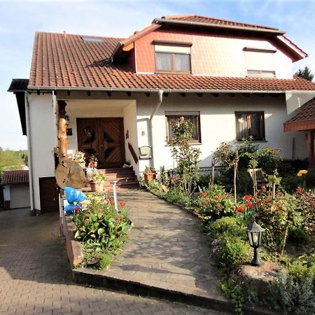 Ferienwohnung Bender Sinsheim Buitenkant foto